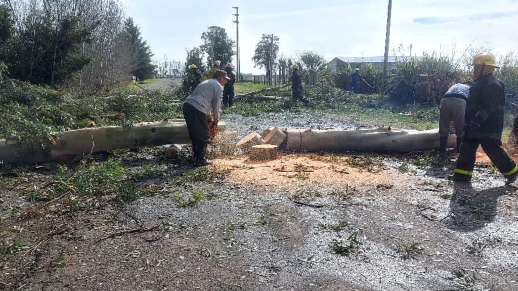 Un temporal generó destrozos en Udaquiola: “Estuvimos 24 horas sin luz y sin agua”