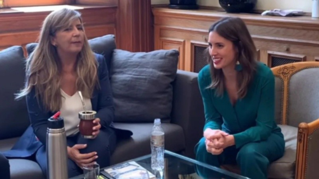 Para Gabriela Cerruti, a las piedras por las víctimas del Covid “las puso la derecha”