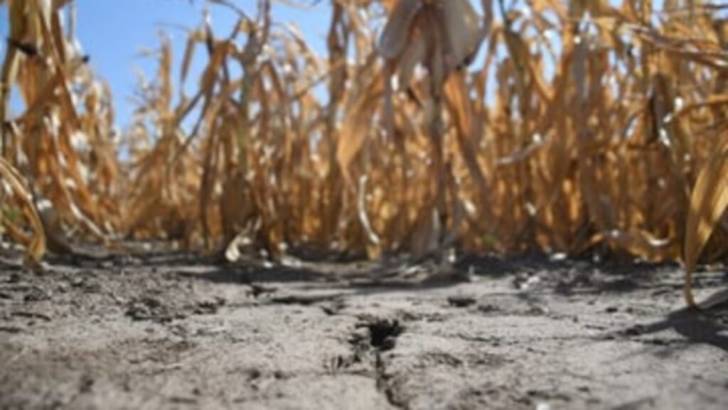 Convocan a una charla sobre sequía destinada a productores y a toda la comunidad
