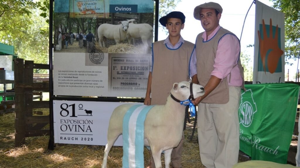 Sociedad Rural de Ayacucho anuncia la realización de la 100ª Exposición de Reproductores Ovinos con inscripciones abiertas