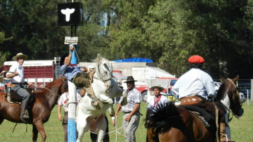 Fiesta del Ternero: Se confirmó el cronograma del evento de destreza criolla 2023