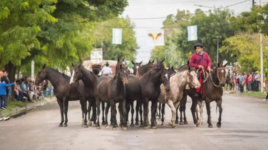 El Desfile Tradicionalista de la Fiesta del Ternero es reprogramado por motivos climáticos