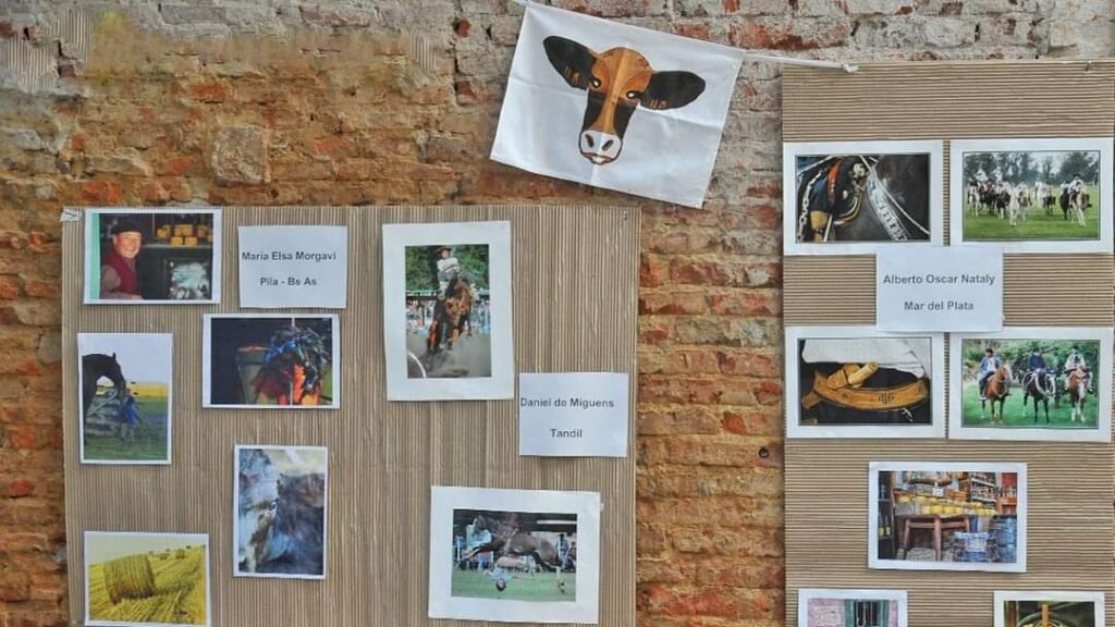 Concurso fotográfico de la Fiesta Nacional de Ternero y Día de la Yerra: el primer premio será de sesenta mil pesos