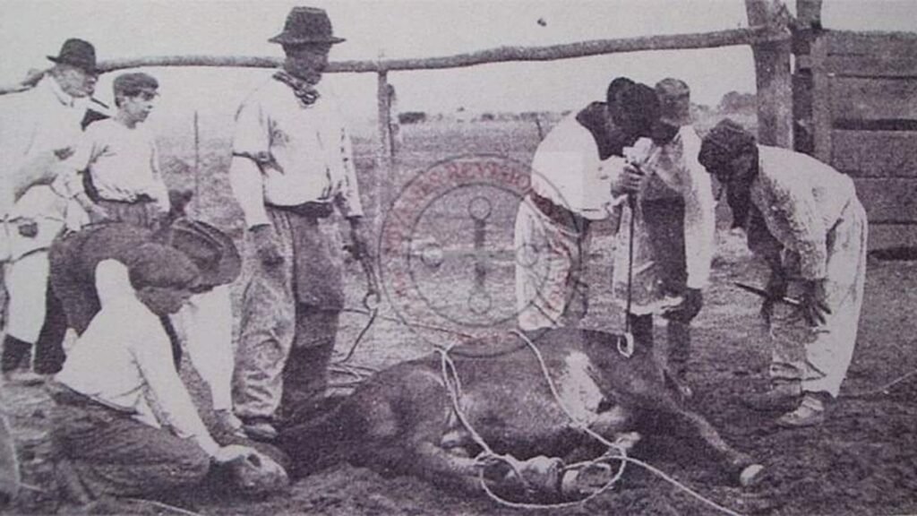 La polémica de la “yerra”: una práctica histórica de marcación del animal sigue siendo objeto de controversia en la actualidad