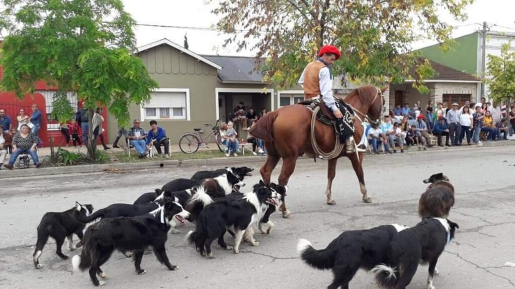 Confirmaron nuevas novedades para el desfile de la Fiesta del Ternero