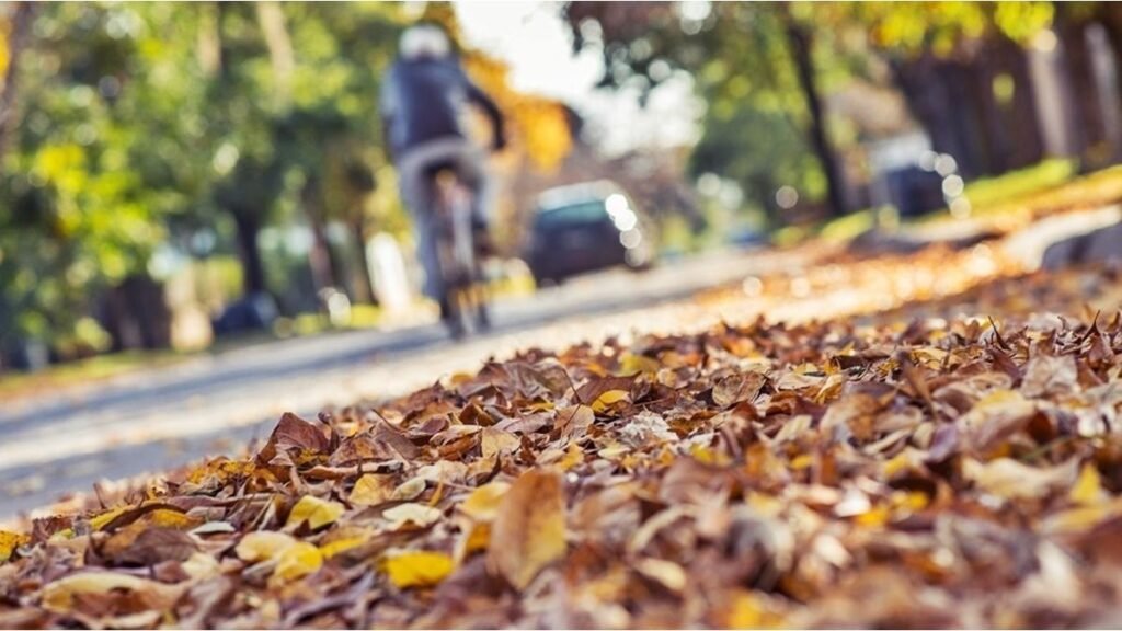Se esperan temperaturas moderadas para Ayacucho durante la próxima semana