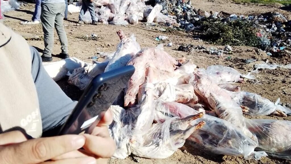 Incidente en el basural de Ayacucho: El Municipio solicitó una investigación al frigorífico