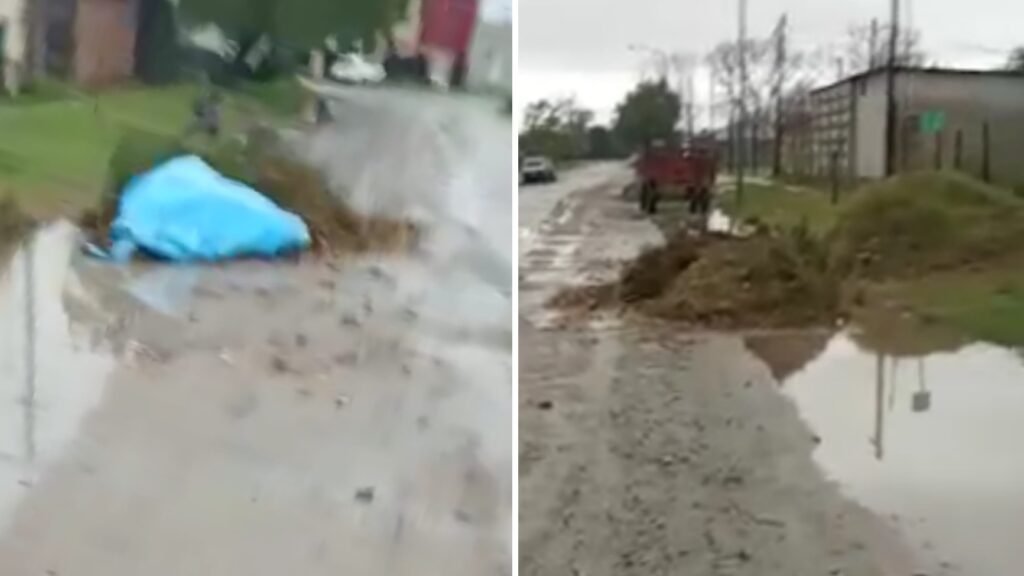 Denuncia de lectores: Reclamo por la problemática de residuo en la calle: “No podemos salir de casa”
