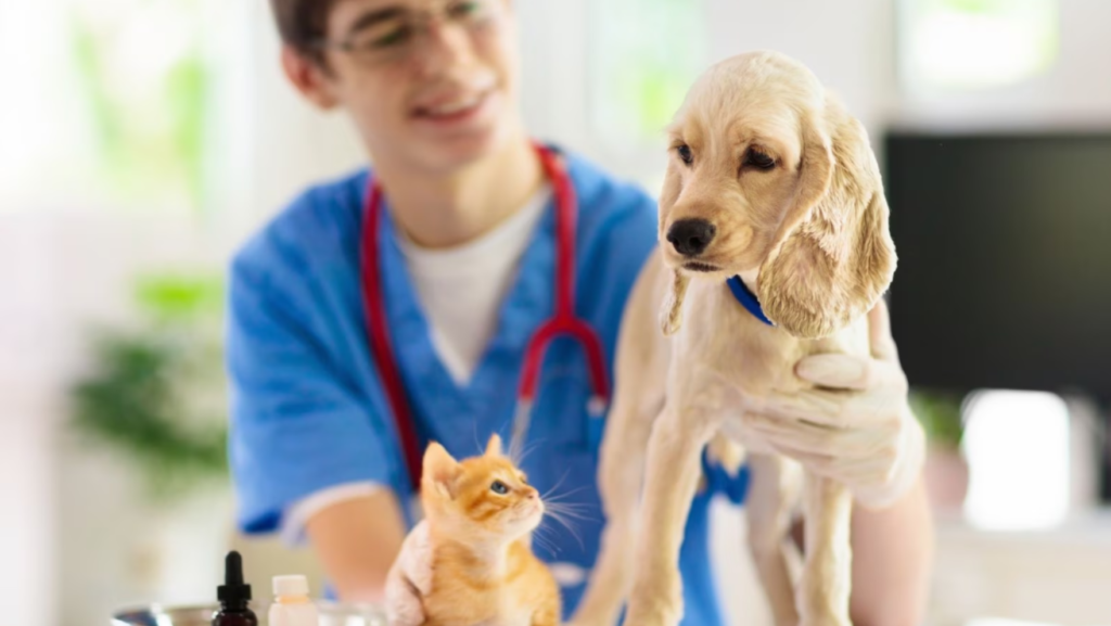 Inicia la campaña de vacunación de mascotas en barrios de Ayacucho