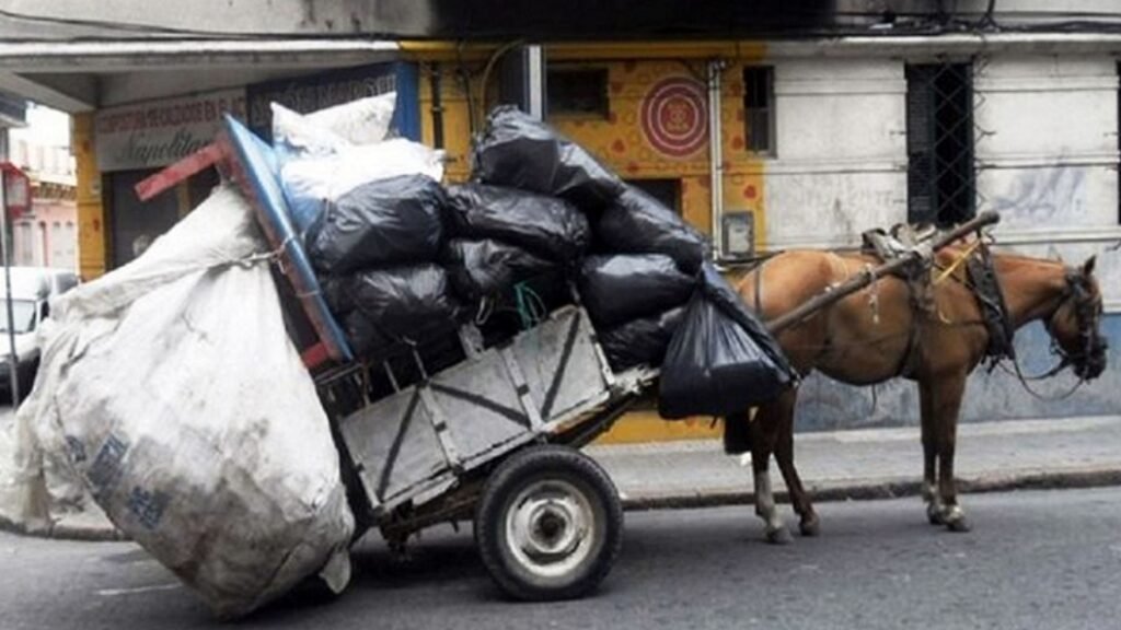 Lanús prohíbe la tracción a sangre y reconoce a los caballos como seres sintientes
