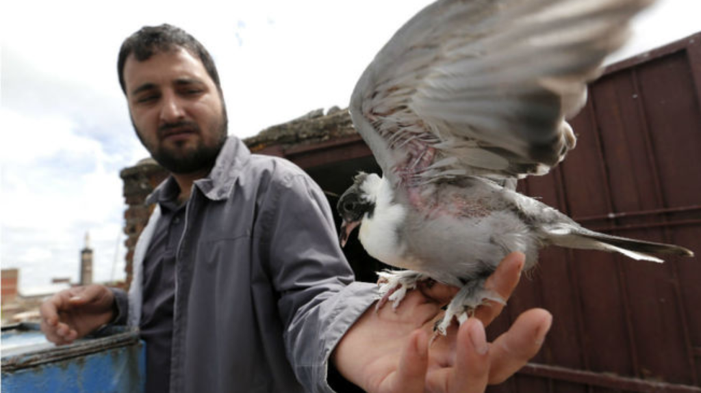 De que se trata la Asociación Civil “La viajera ayacuchense”