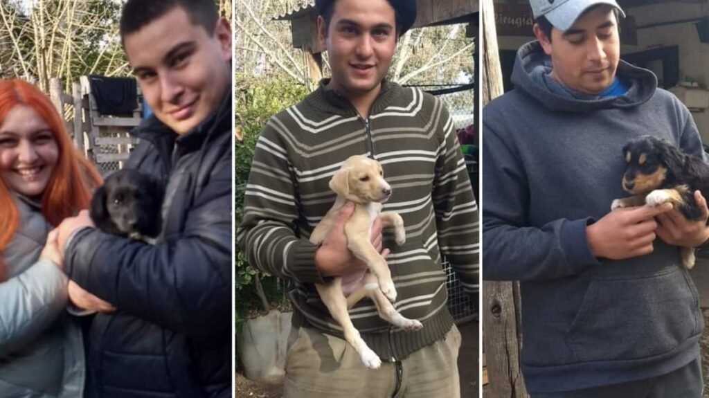 PANDA rescató a una madre y sus cachorros abandonados, la comunidad se une en solidaridad