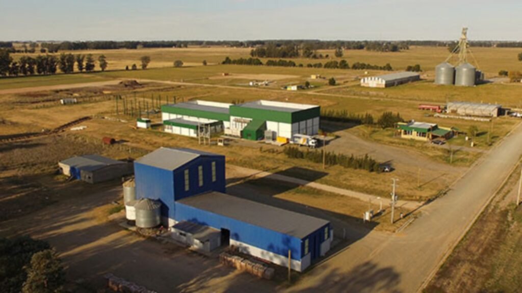 Cordonnier habló sobre la supuesta venta de la fábrica de helados: “Si tienen decidido venderla, no es una cuestión municipal”