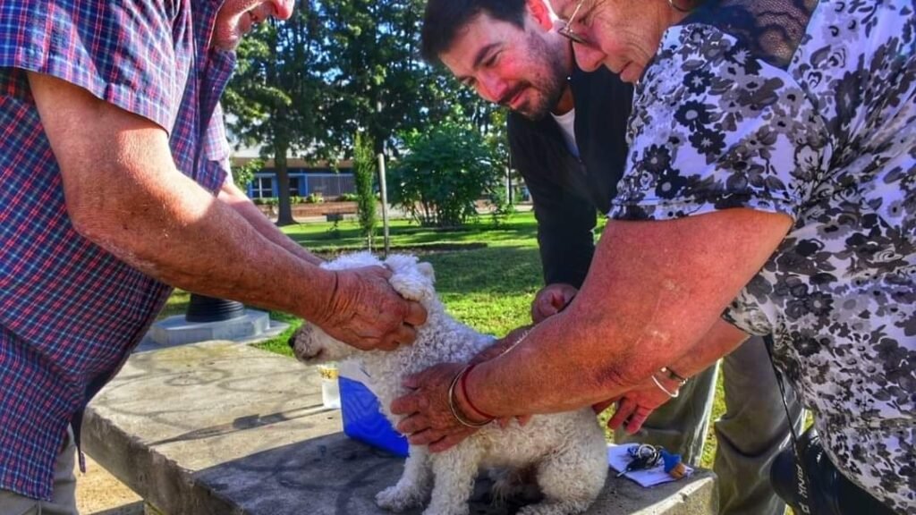 En los últimos meses se realizaron más de 2000 vacunaciones y más 1000 castraciones de animales