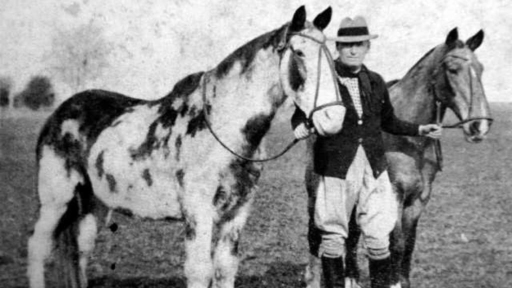 Gato y Mancha, los caballos de Ayacucho que cabalgaron de Buenos Aires a Nueva York