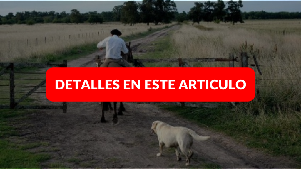 Buscan puestero para desempeñar tareas en la zona de Tandil