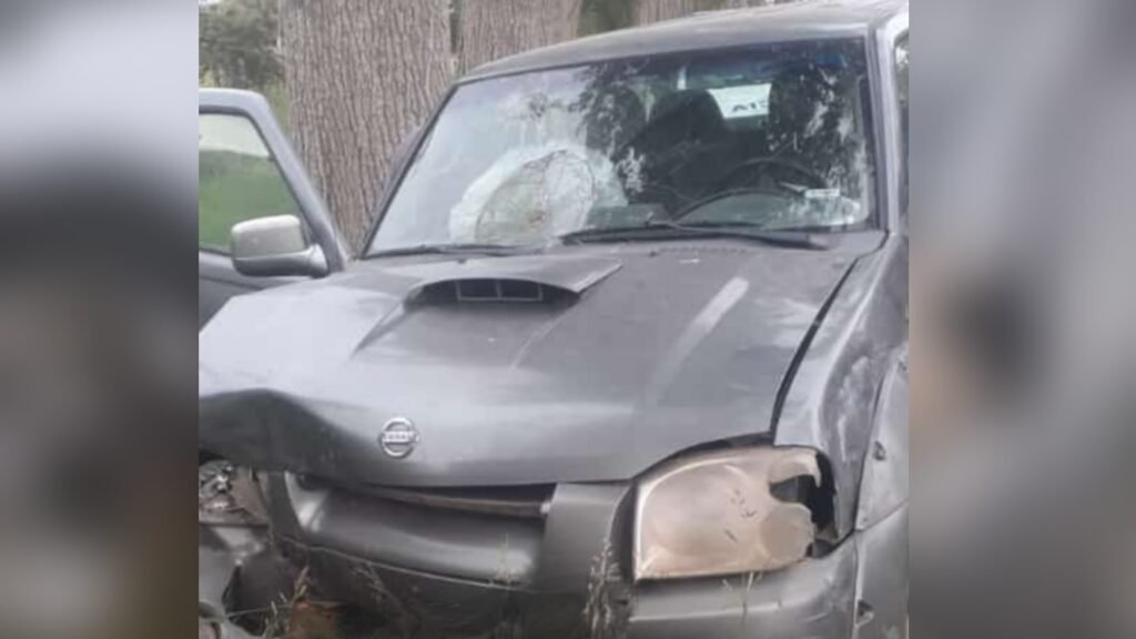 Una camioneta impactó contra un árbol en Acceso Perón