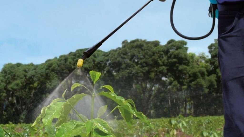 Controversia en Ayacucho por supuesto incumplimiento de Ordenanza en fumigaciones