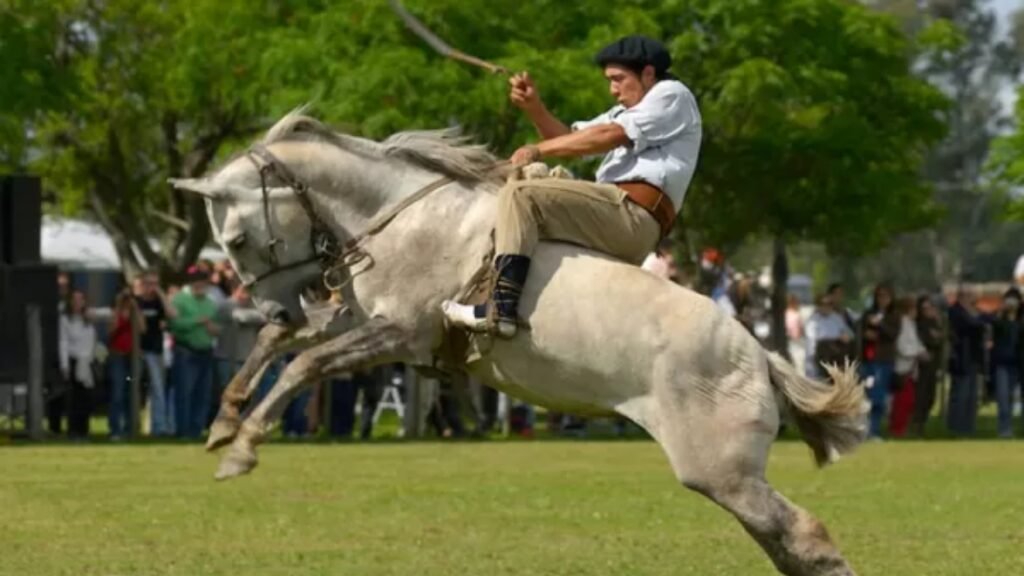 Cancelan las jineteadas en todo el territorio nacional hasta el año próximo