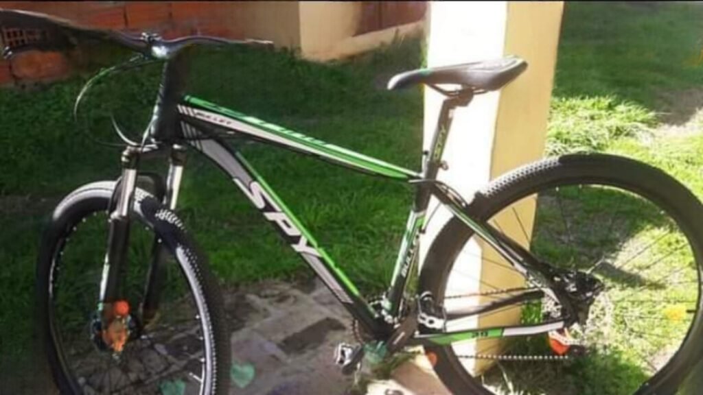 Una enfermera fue víctima del robo de su bicicleta y todo quedó registrado en cámaras de seguridad del Hospital