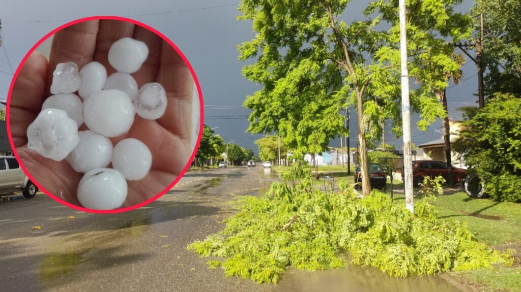 Una breve tormenta generó cortes de energía, caídas de arboles y una importante caída de granizo