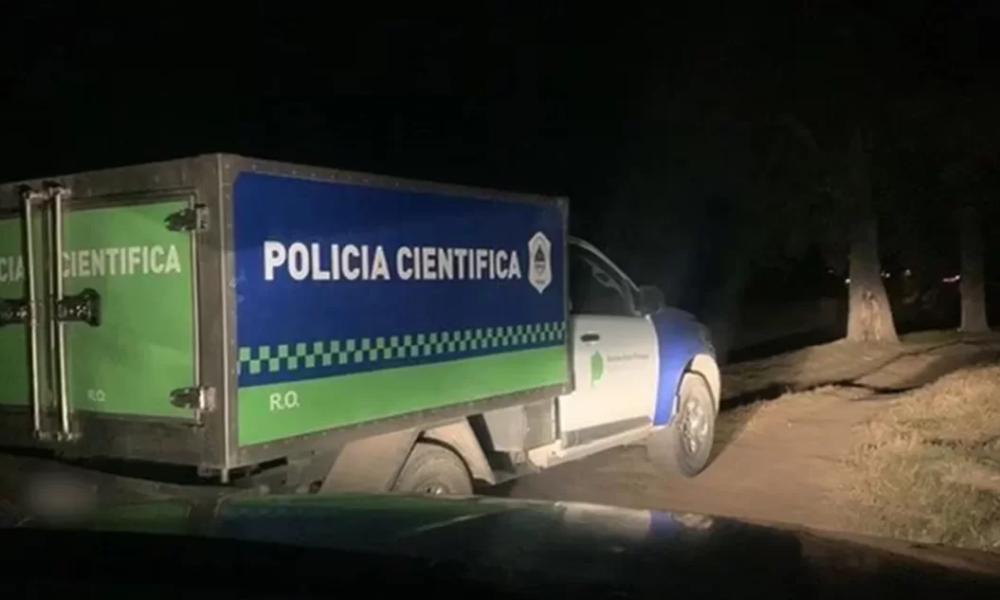 Crimen en Chascomús: una mujer y su hijo fueron asesinados en una casa de campo