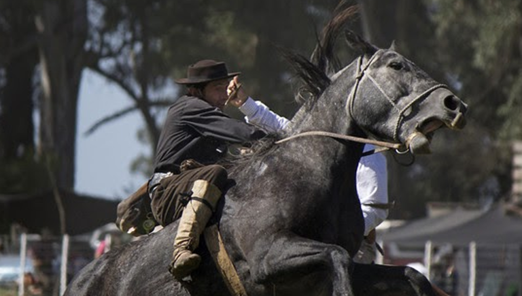 Suspenden una fiesta criolla en La Constancia ante brote de Encefalomielitis Equina en la región