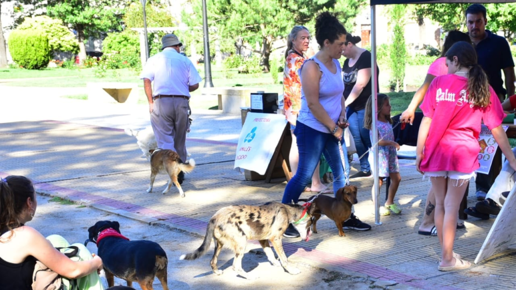 Concluyó la última jornada de vacunación y desparasitación animal: “Fue un año positivo”