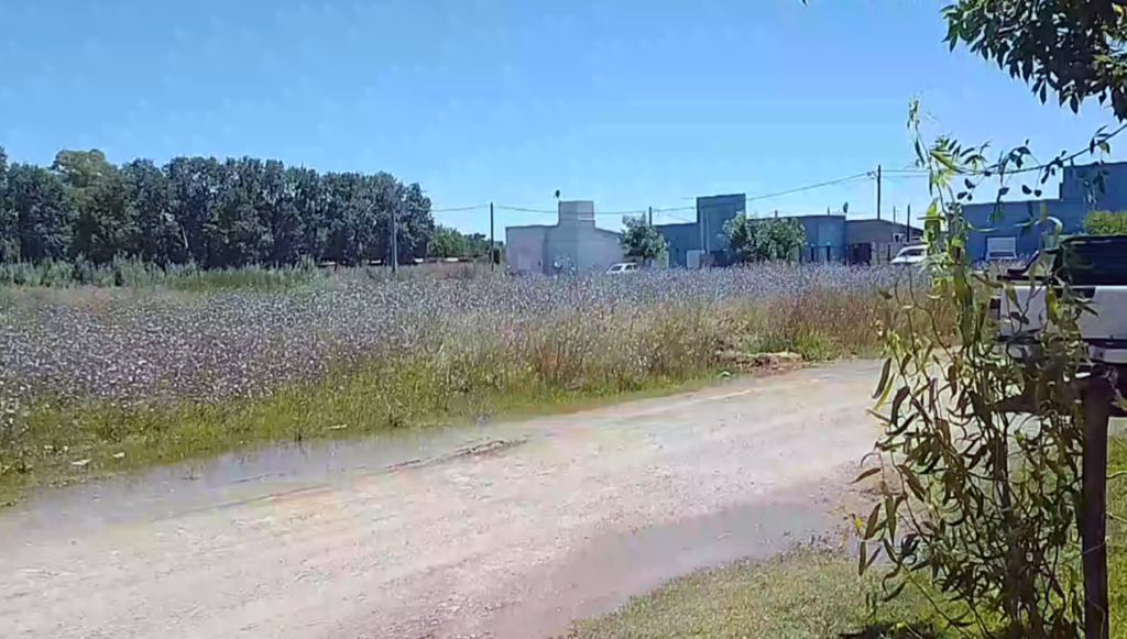 Vecinos solicitan la limpieza de terrenos baldío que no tienen mantenimiento frecuentemente