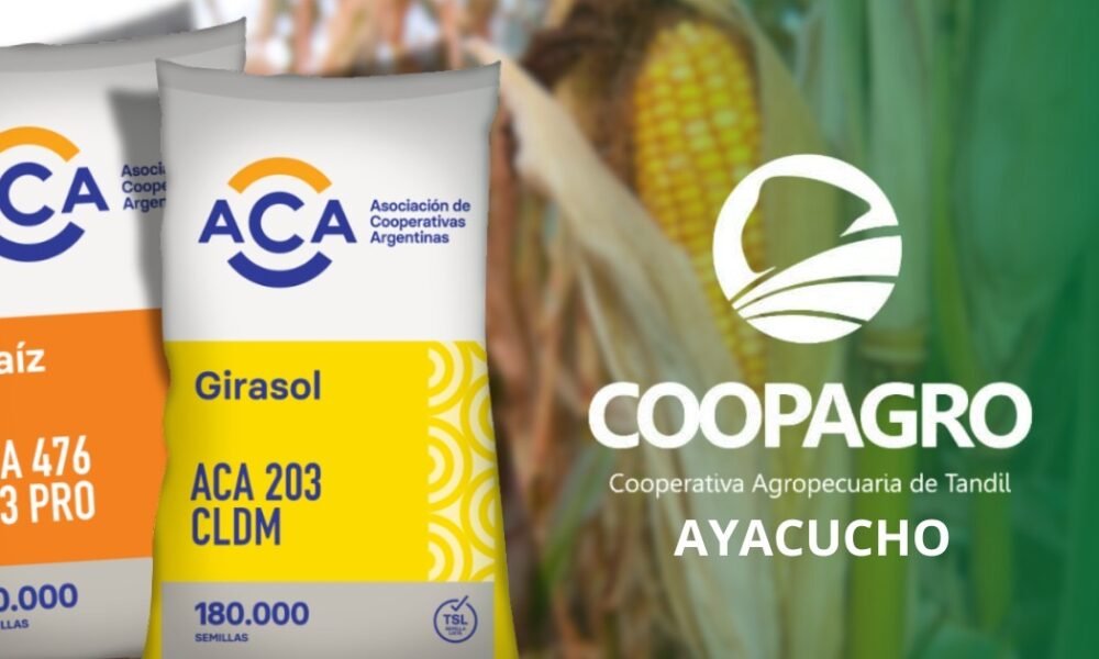 Coopagro Ayacucho: semillas híbridas, financiación flexible y todo para la cosecha 2025-2026