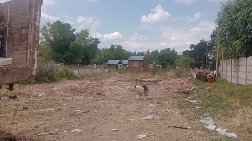 Uncaso expone una problemática social compleja que combina salud mental y reclamos vecinales 