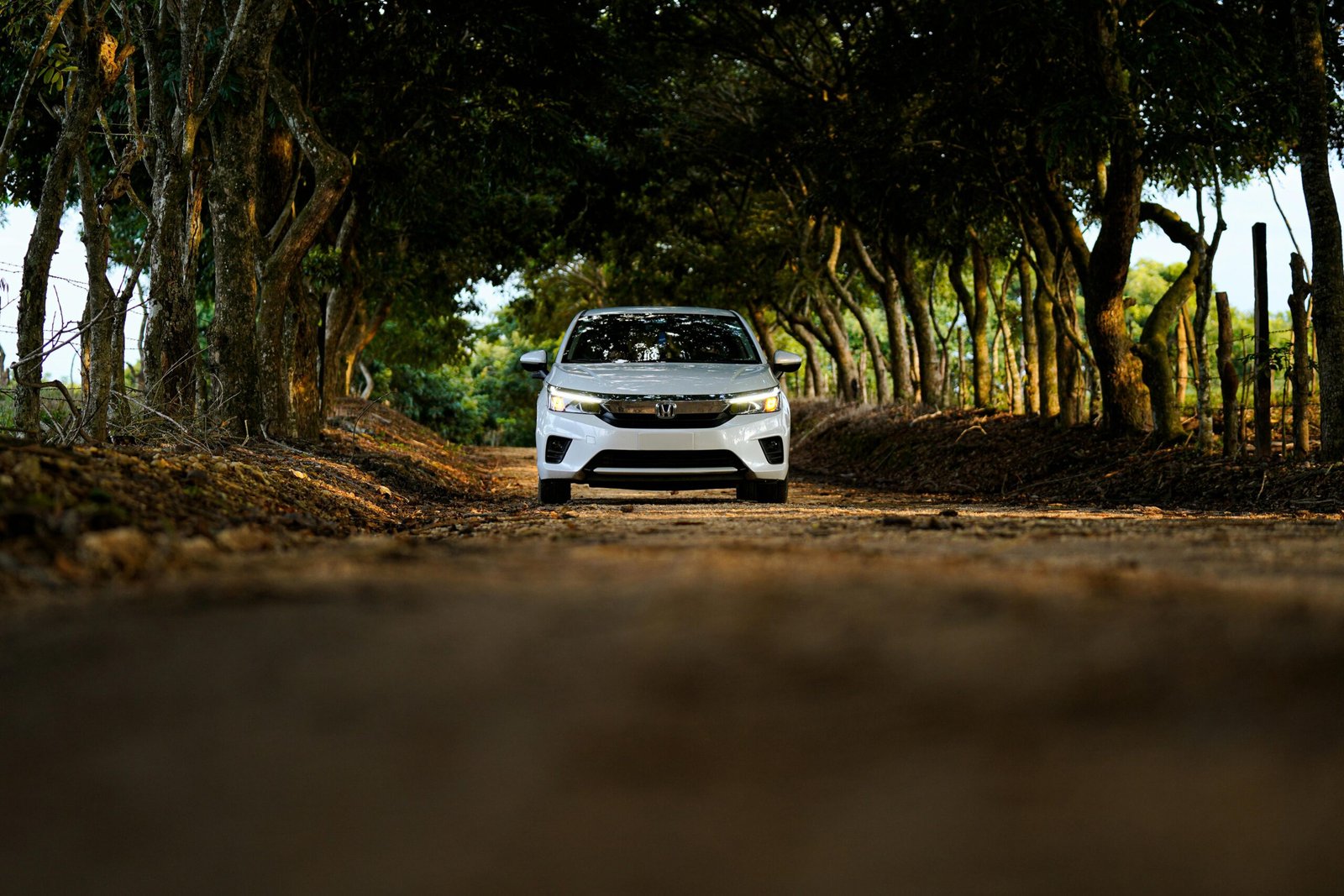 Docente transitando camino rural hacia una escuela