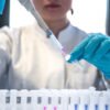 Mosquito Aedes aegypti, vector del dengue, en una investigación científica