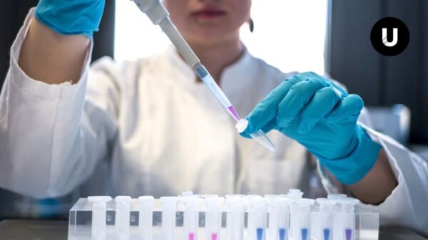 Mosquito Aedes aegypti, vector del dengue, en una investigación científica