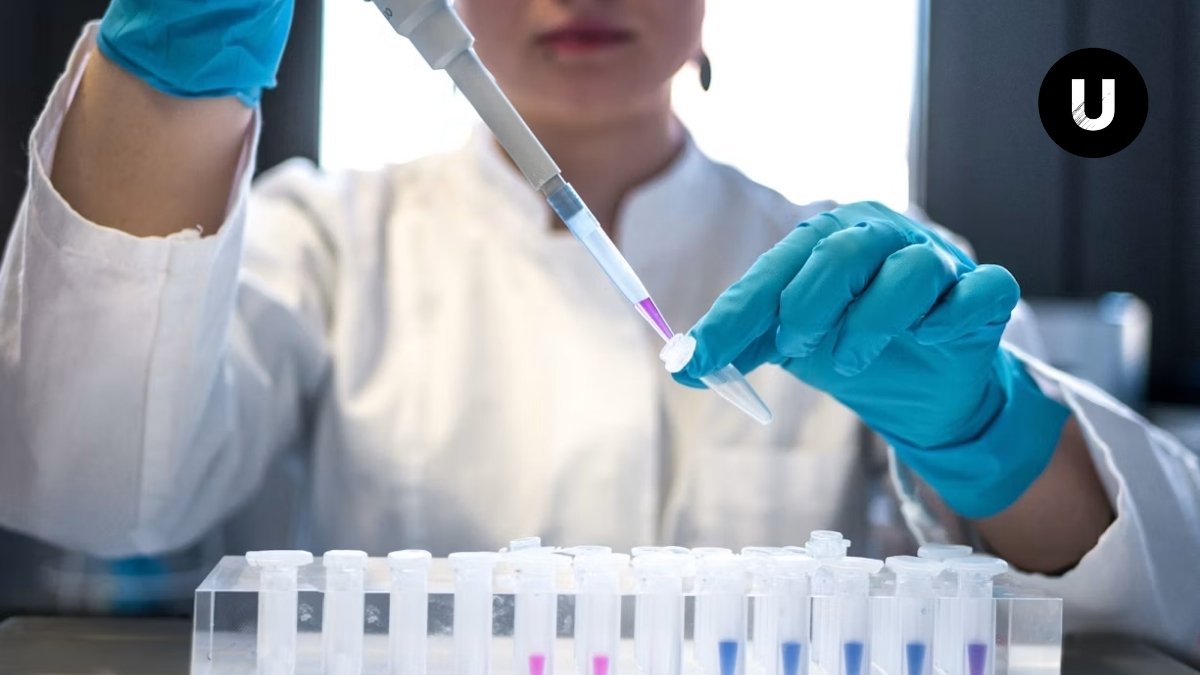 Mosquito Aedes aegypti, vector del dengue, en una investigación científica
