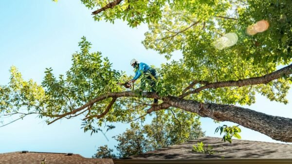 árboles y espacios verdes en Ayacucho