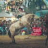 Predio de las Fiestas Patrias Saladillo con jineteadas, espectáculos y actividades tradicionalistas.