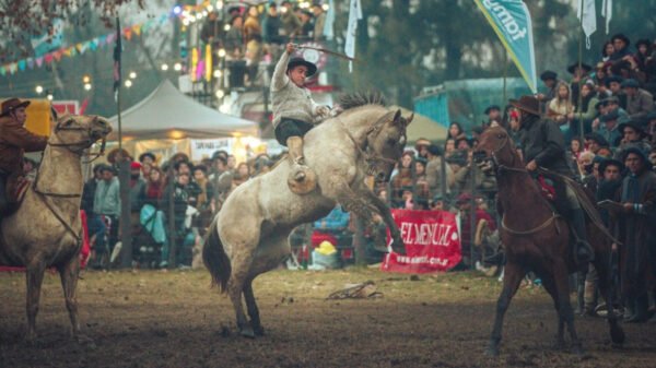 Predio de las Fiestas Patrias Saladillo con jineteadas, espectáculos y actividades tradicionalistas.