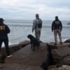 Operativo de búsqueda en la costa de Mar del Plata por la desaparición de Adriana Terenzi.