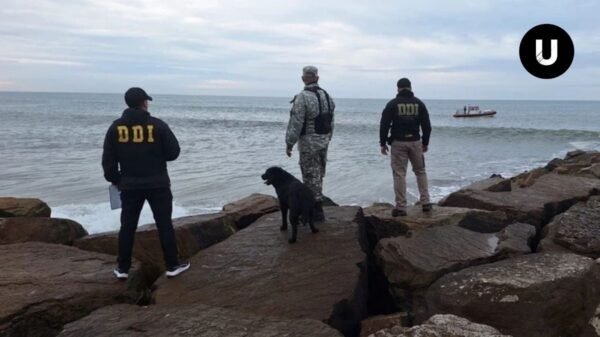 Operativo de búsqueda en la costa de Mar del Plata por la desaparición de Adriana Terenzi.