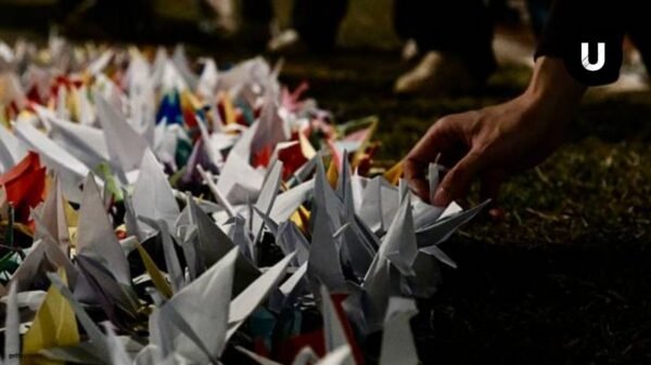 Instalación artística "Mil Grullas por la Paz" en el hall del Palacio Municipal de Ayacucho.