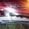 auto dañado tras chocar contra un ciervo en Ruta 11