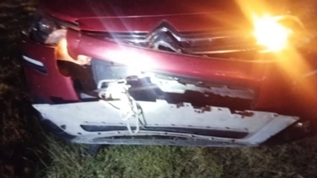 auto dañado tras chocar contra un ciervo en Ruta 11