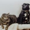Campaña de vacunación antirrábica y desparasitación para perros y gatos en Ayacucho