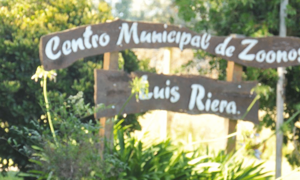 Robo en la protectora PANDA: sustrajeron equipamiento y pusieron en riesgo a los animales